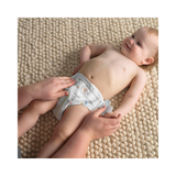 Pañales Plus Little Movers Talla 6