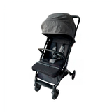 Coche Luca